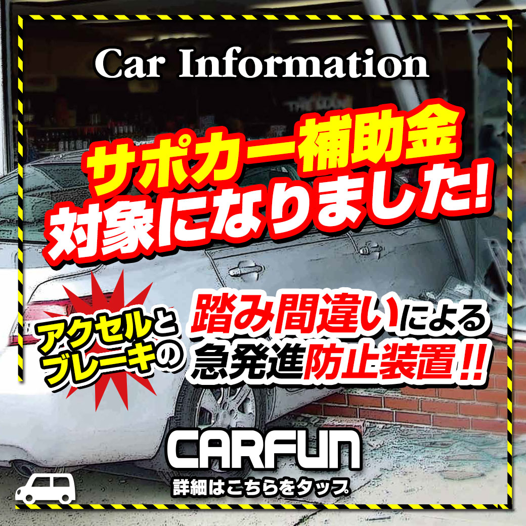 サポカー補助金ペダルの見張り番_1040